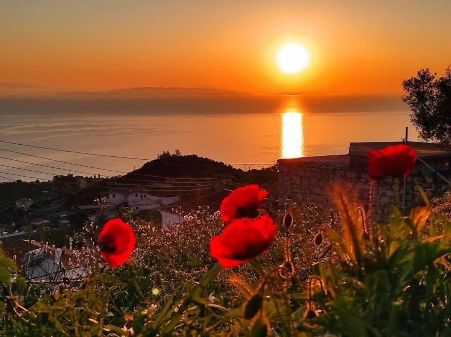 Κατοικία Πανόραμα, Πραγματευτή Λεωνιδίου, Τ.Κ.22300 Leonídion Buitenkant foto